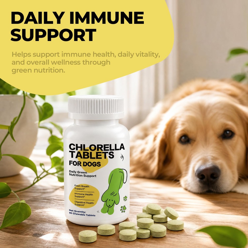 chlorophyll-for-dogs-chlorella-breath-fr-71MZKYoZoVL.jpg