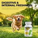 chlorophyll-for-dogs-chlorella-breath-fr-71GIp8HhhUL.jpg