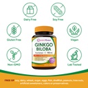 doctor-s-recipes-ginkgo-biloba-leaf-caps-71bvIUHY76L.jpg