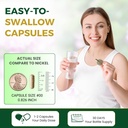astragalus-complex-1000-mg-60-vegan-caps-81Ja+gYAnsL.jpg