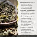 irwin-naturals-dual-action-fat-burner-re-5.jpg