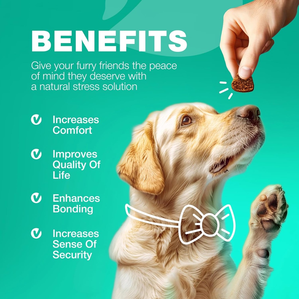 no-poo-chewables-for-dogs---enzymes-dog--6.jpg