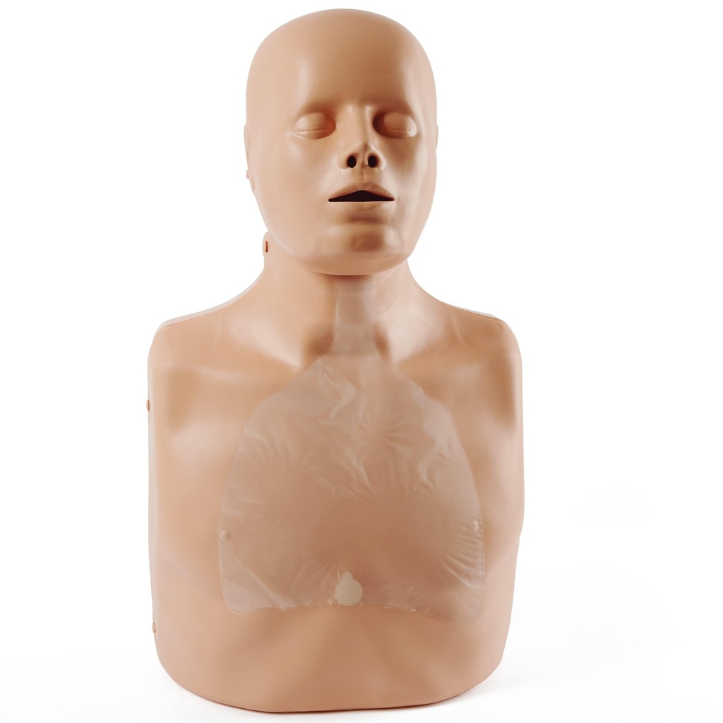 pulox-practi-man-advance-resuscitation-d-617j2cwBS-L.jpg