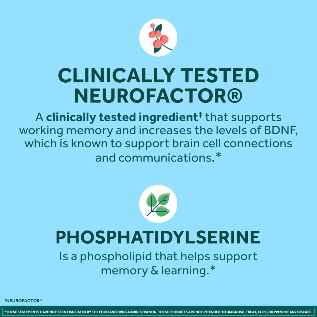 neuriva-plus-brain-supplements-for-memor-71cnT5rNrDL.jpg