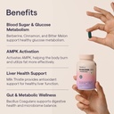 the-good-bug-berberine-95-with-probiotic-61S1buUpEBL.jpg