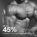 nutrabay-gold-micronised-creatine-monohy-81rB7VrgtVL.jpg