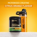 optimum-nutrition-on-micronized-creatine-61w8ZjwegBL.jpg