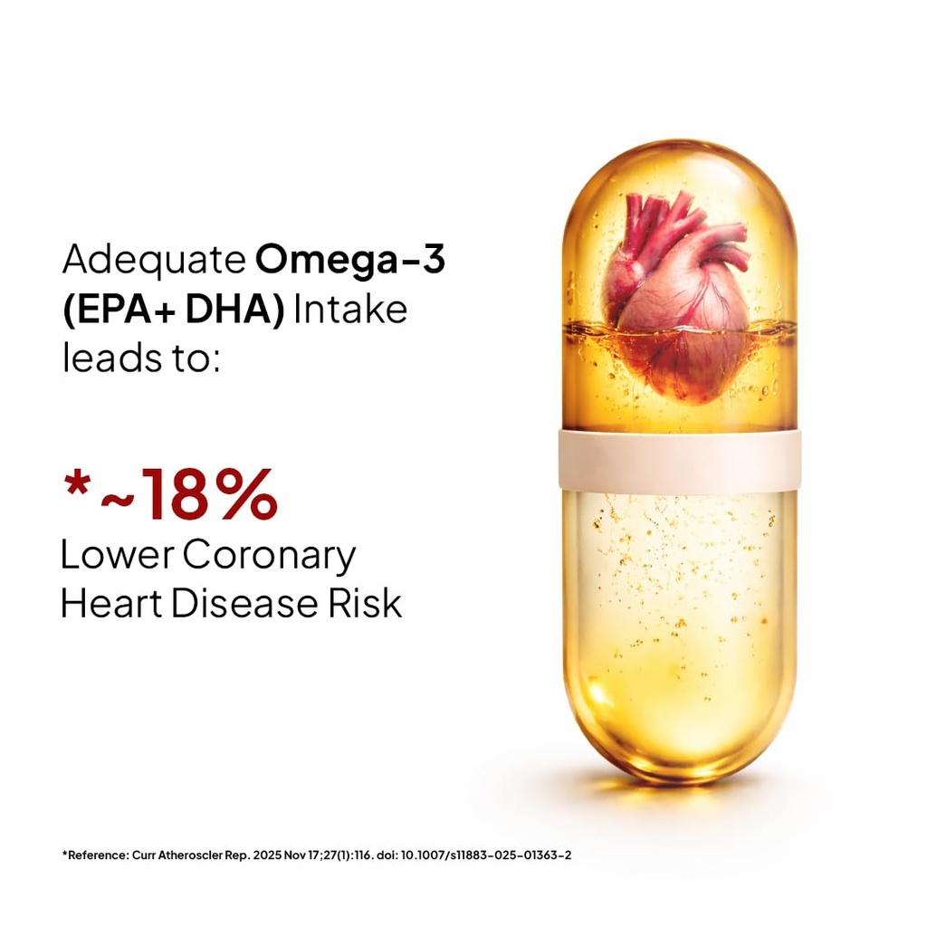 miduty-veg-omega-3-500mg-40-algal-dha-ep-51ra0EdY5bL.jpg
