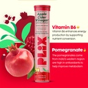 the-plant-fix-apple-cider-vinegar-efferv-61Ciy-oq7nL.jpg