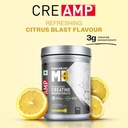 muscleblaze-micronised-creatine-monohydr-71an7pesjBL.jpg