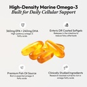 aiwo-ultimate-omega-3-fish-oil-capsules--61mzzQ9KwnL.jpg