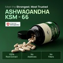 rasayanam-ashwagandha-ksm-66-clinically--71Da6HO0srL.jpg
