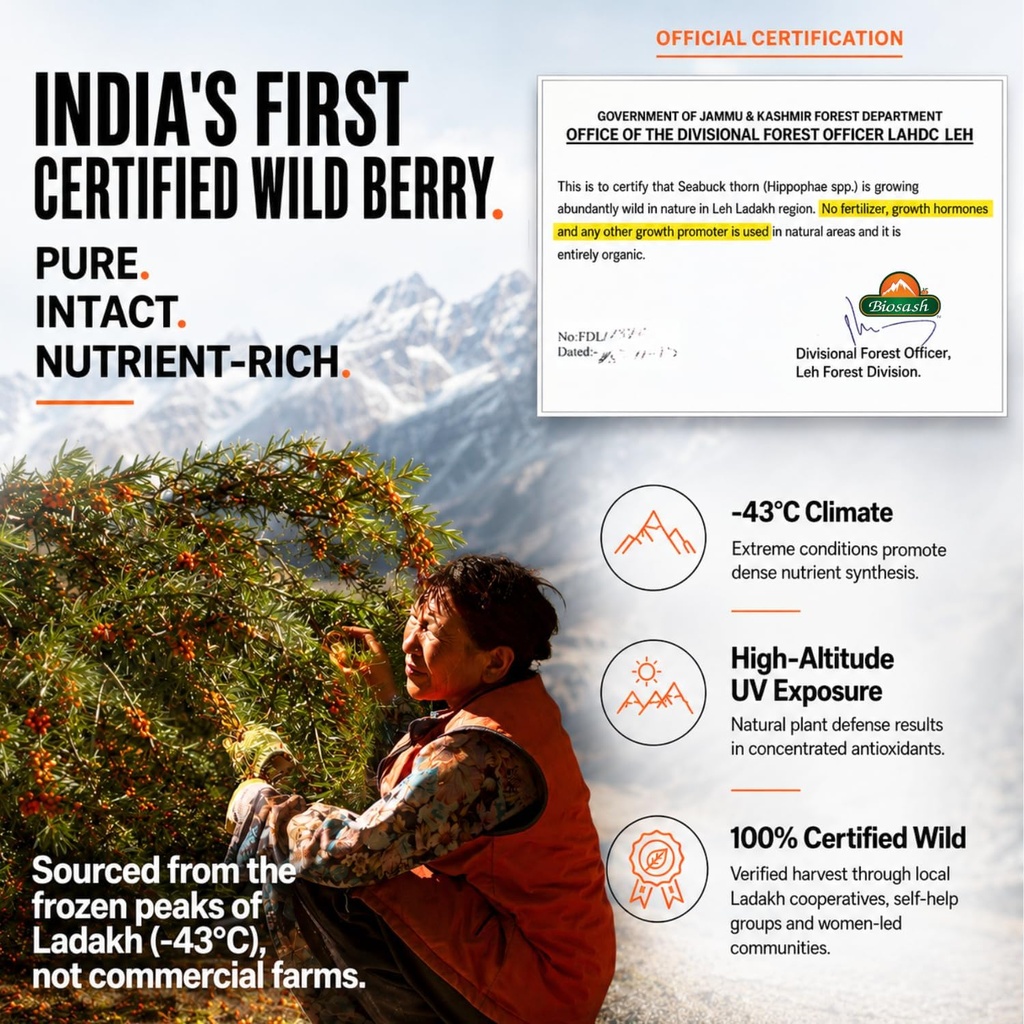 biosash-himalayan-sea-buckthorn-pulp-con-81s25+Rf6fL.jpg