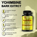 yohimbine-bark-extract-30mg-extra-streng-71PD1da+x6L.jpg