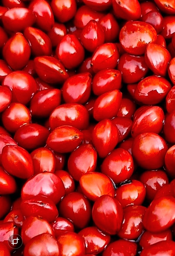 beons-organic-premium-mnajadi-kuru-manja-71qpROfb2eL.jpg