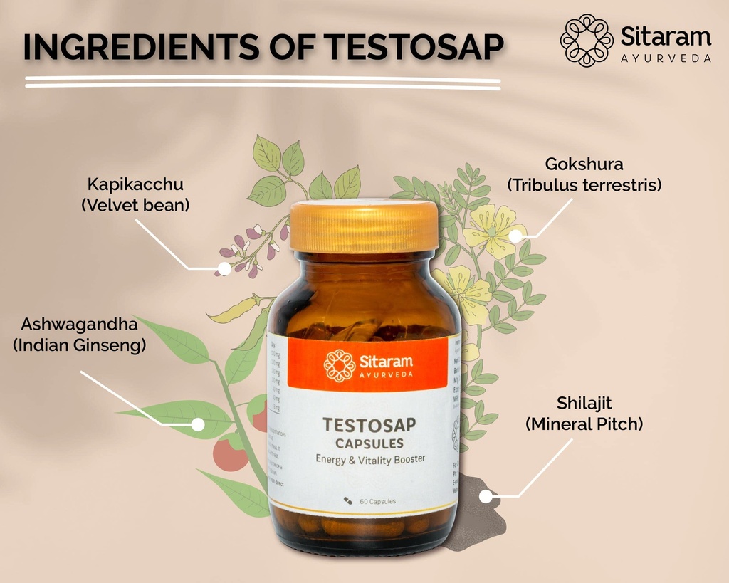 sitaram-ayurveda-testosap-capsules-ayurv-814sQm3J53L.jpg