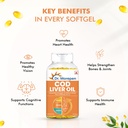 dr-morepen-cod-liver-oil-capsules-omega--71Bam8U6ugL.jpg
