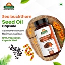 biosash-sea-buckthorn-seed-oil-capsules--715MnAISrAL.jpg