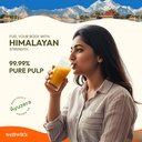 wellwith-by-ayuzera-natural-himalayan-se-81HxdIiCtzL.jpg