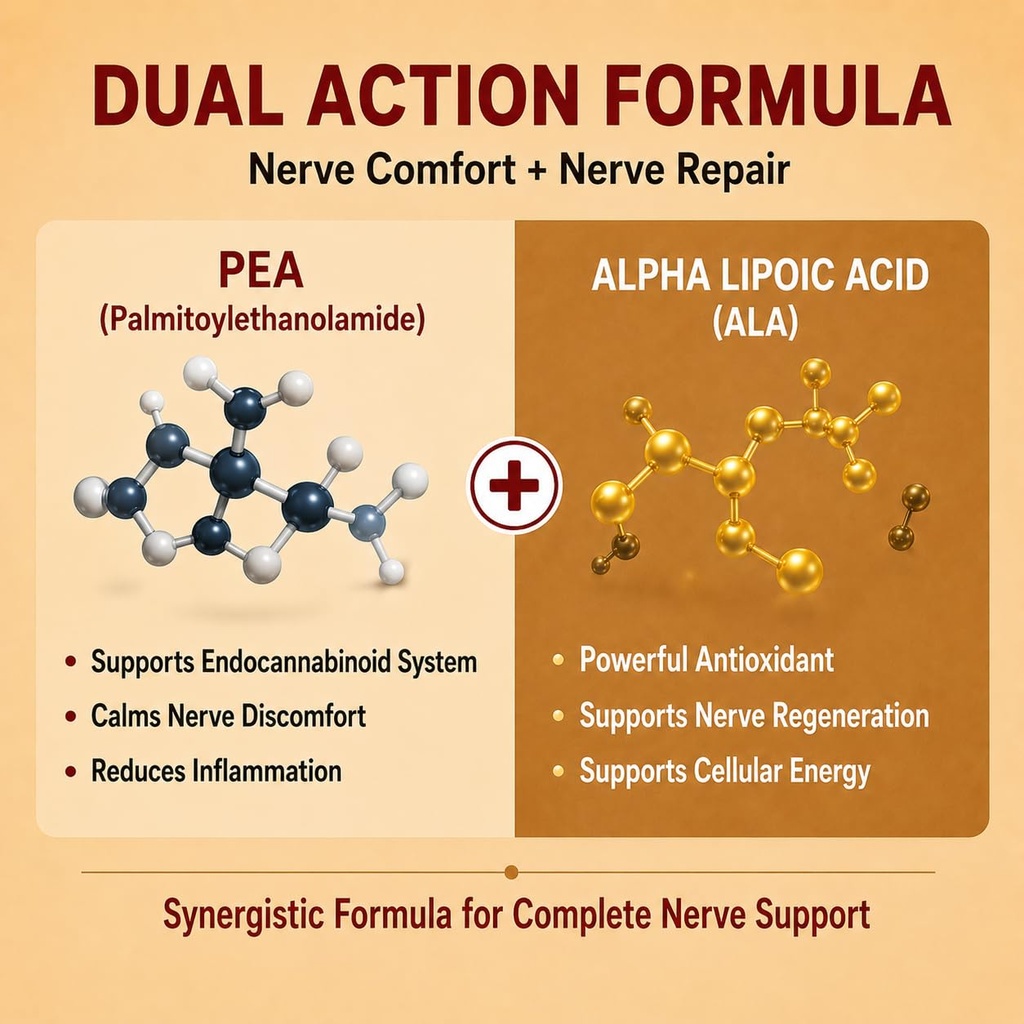 palmitoylethanolamide-pea-supplement-600-61ZjIvf3TJL.jpg