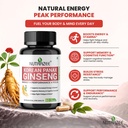 nutrazee-korean-ginseng-capsules-for-men-81orgusZmPL.jpg