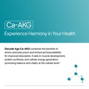 decode-age-ca-akg-supplement-500-mg-99-9-71FsnmfQlZL.jpg