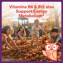 smartypants-kids-immunity-91NgUqjzFeL.jpg