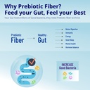 inulin-prebiotic-dietary-fiber-powder-25-71J0PscfwiL.jpg