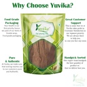 yuvika-vijaysar-pterocarpus-marsupium-in-81xavQ7FgEL.jpg