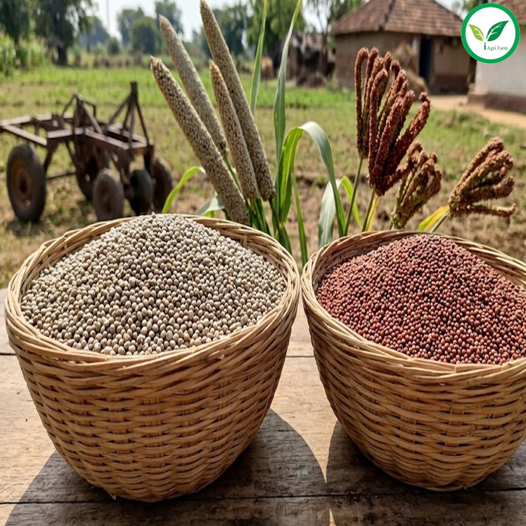 iagrifarm-millets-combo-kambu-millet-rag-91MwjjXFFjL.jpg