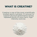 myprotein-creatine-monohydrate-powder-cr-718mHzJ6O-L.jpg
