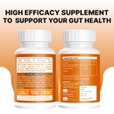 dglcap-advanced-gut-health-supplements-3-81Z9Xd3HCxL.jpg