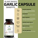 odorless-garlic-capsules-650mg-with-natu-71V19FJXw4L.jpg