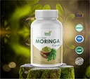 yash-herbal-moringa-30-capsules-green-su-61Vg21Bg1jL.jpg