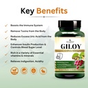 giloy-vegan-capsules-81tHWXYIVEL.jpg