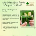 bliss-of-earth-organic-wheatgrass-powder-71u19V0GmaL.jpg