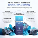 wellbeing-nutrition-liquid-trace-mineral-81CnvXzsAqL.jpg
