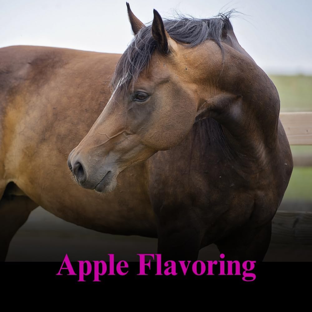 su-per-gain-weight-for-horses---equine-s-3.jpg