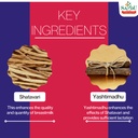 sandu-shatari-ayurvedic-tonic-to-increas-61+mwv37-+L.jpg