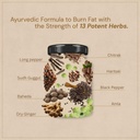 ayurveda-metaballs-ayurvedic-fat-burner--61cduspnbiL.jpg