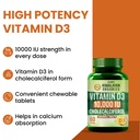 vlado-s-himalayan-organics-vitamin-d3-10-71RnGDPf4dL.jpg