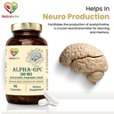 alpha-gpc-300-mg-90-vegetarian-capsules-61538eUJenL.jpg