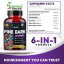 humming-herbs-pine-bark-extract-capsules-81EUK7bw+iL.jpg