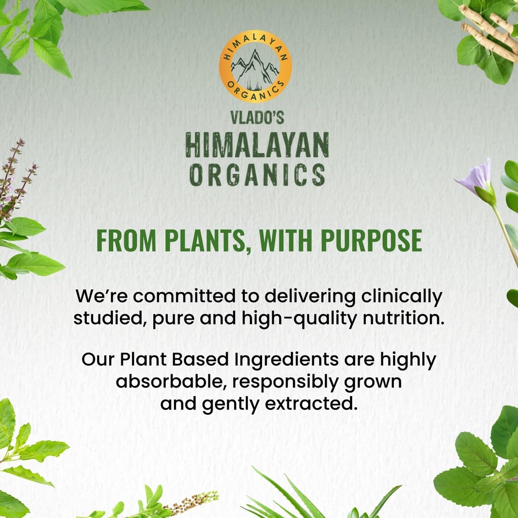 vlado-s-himalayan-organics-glutathione-b-71TJI5IEB9L.jpg