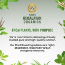 vlado-s-himalayan-organics-glutathione-b-71TJI5IEB9L.jpg