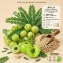 naturals-organic-kasturi-haldi-wild-turm-71uRduOtRNL.jpg