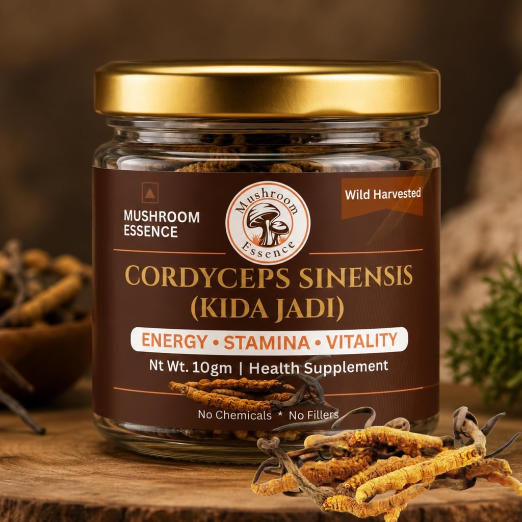 mushroom-essence-cordyceps-sinensis-sele-81Fp-RJjYiL.jpg