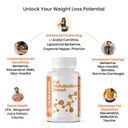 fat-metabolism-boost-pack-of-2-20-plant--61vaByC8enL.jpg