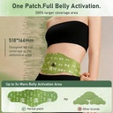balance-waist-patch-with-herbal-formula--71jd0rjD2BL.jpg