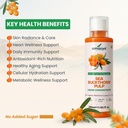 amasya-naturals-sea-buckthorn-pulp-liqui-71+OUqnEq6L.jpg